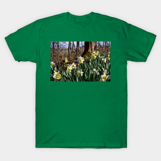 Springtime T-Shirt by Violaman